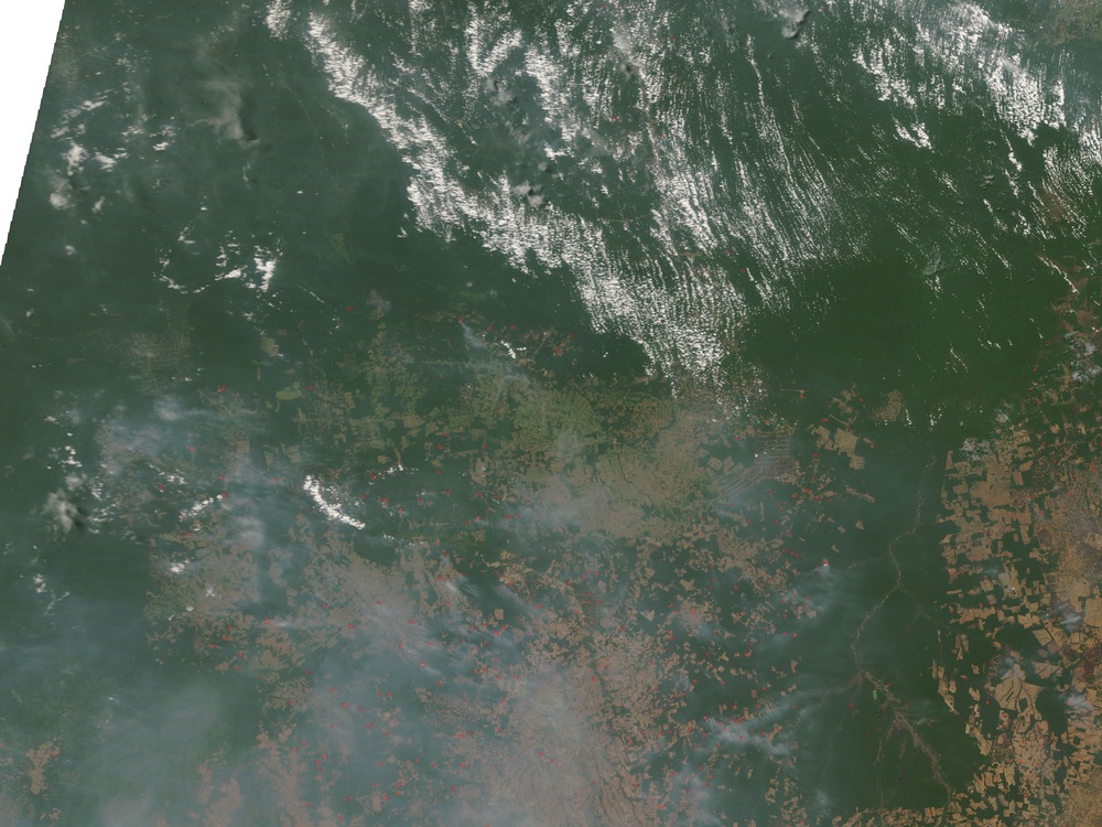 Fires Near Xingu River: Natural Hazards