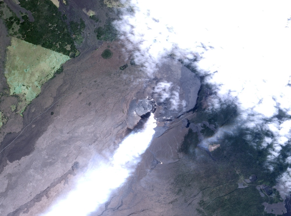 Halema'uma'u Crater Gas Plume: Image of the Day