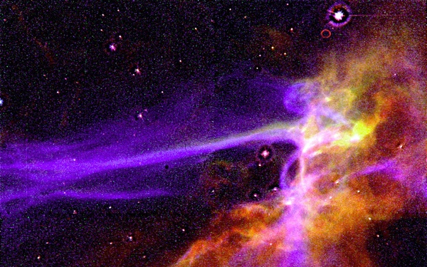 Cygnus Loop Supernova Blast Wave