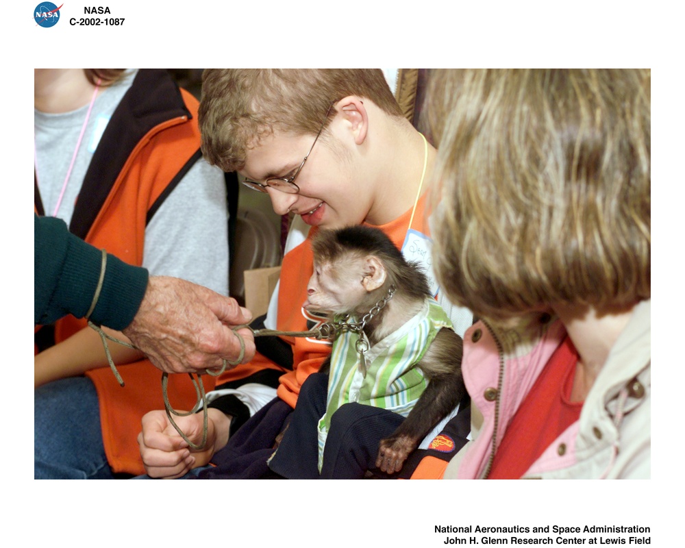 VERY SPECIAL ARTS PROGRAM