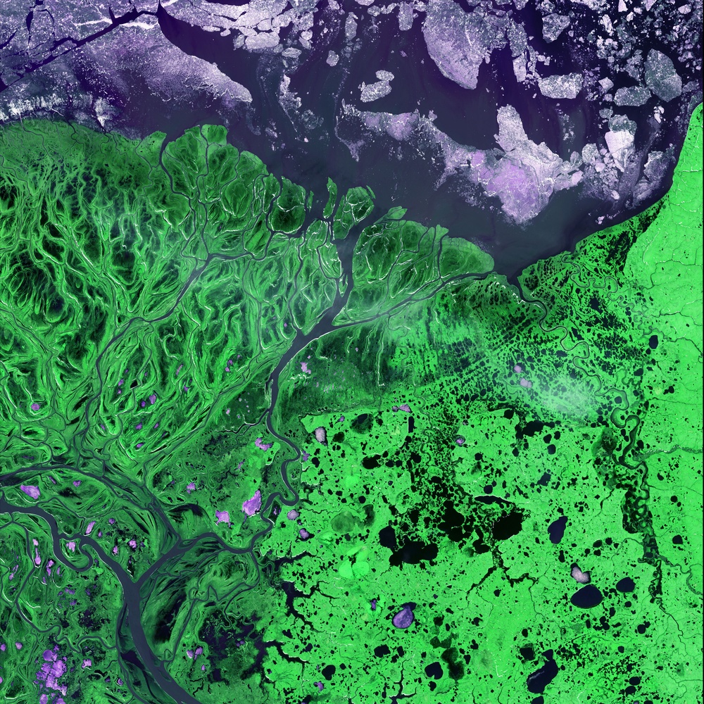 Yukon River Delta, Alaska: Image of the Day