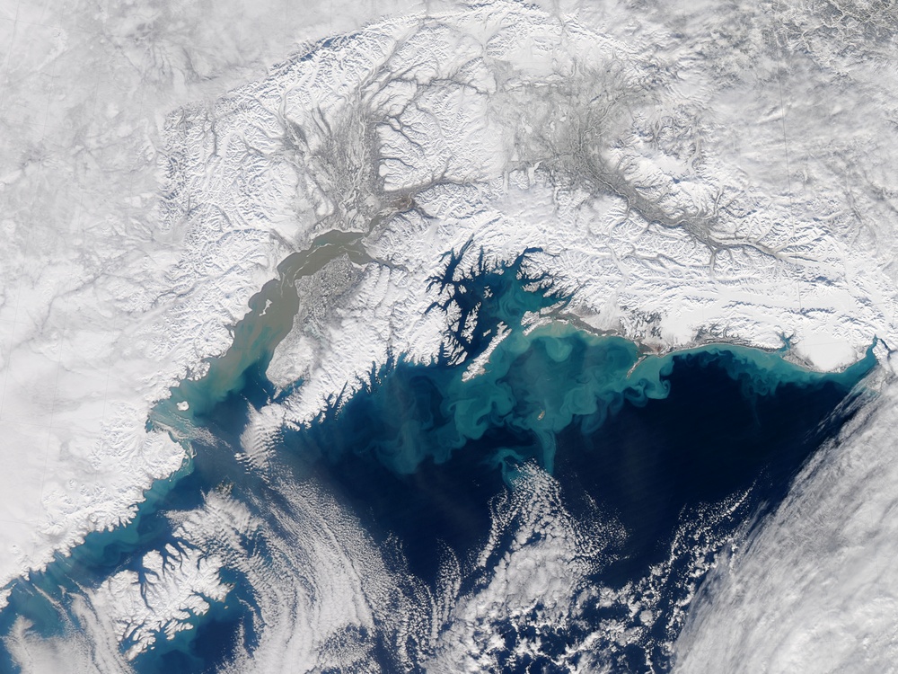 Swirling Sediment in Gulf of Alaska: Image of the Day