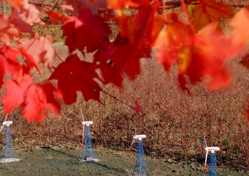 MOD-0 WIND TURBINE MODELS