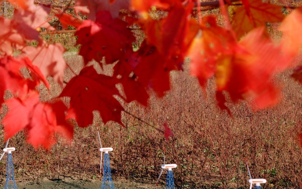 MOD-0 WIND TURBINE MODELS
