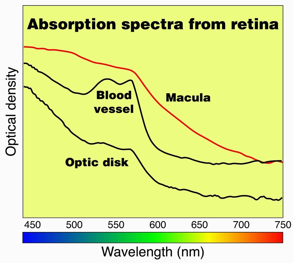 Optical Density Chart
