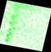 Landsat 7 Reveals Large-scale Fractal Motion of Clouds : Image of the Day