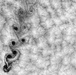 Landsat 7 Reveals Large-scale Fractal Motion of Clouds : Image of the Day