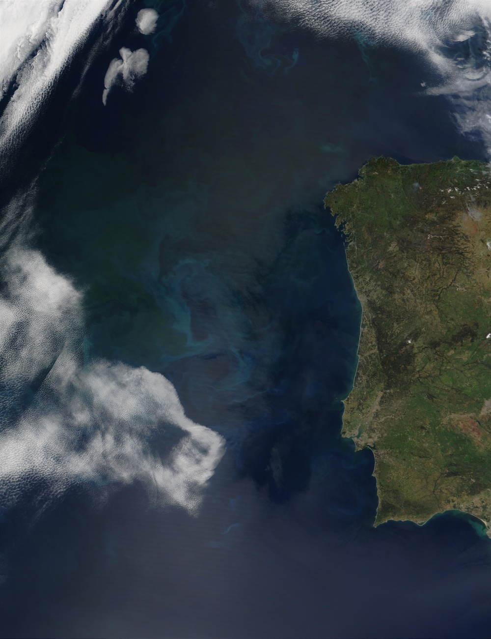 Phytoplankton off the Coast of Portugal: Image of the Day