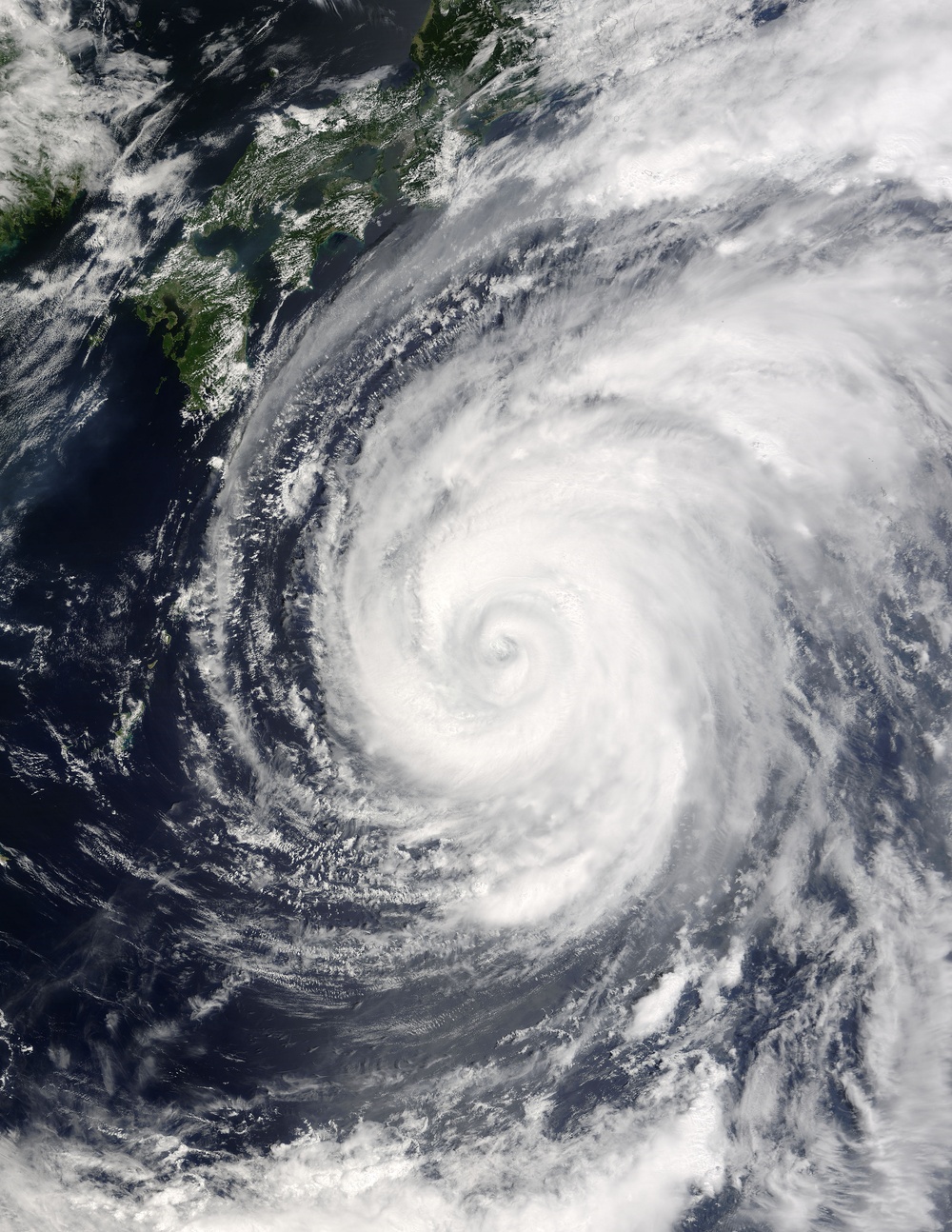 Typhoon Chaba: Natural Hazards