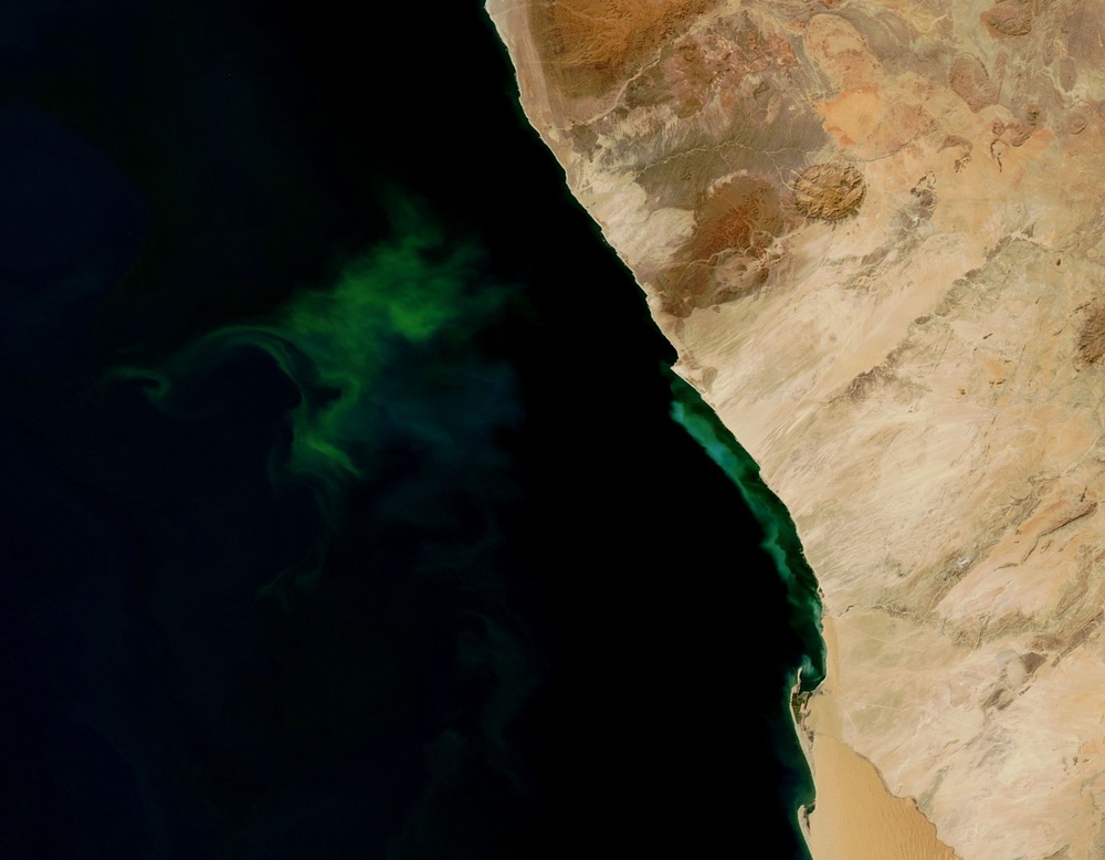 Phytoplankton and Hydrogen Sulfide off the Coast of Namibia: Natural Hazards
