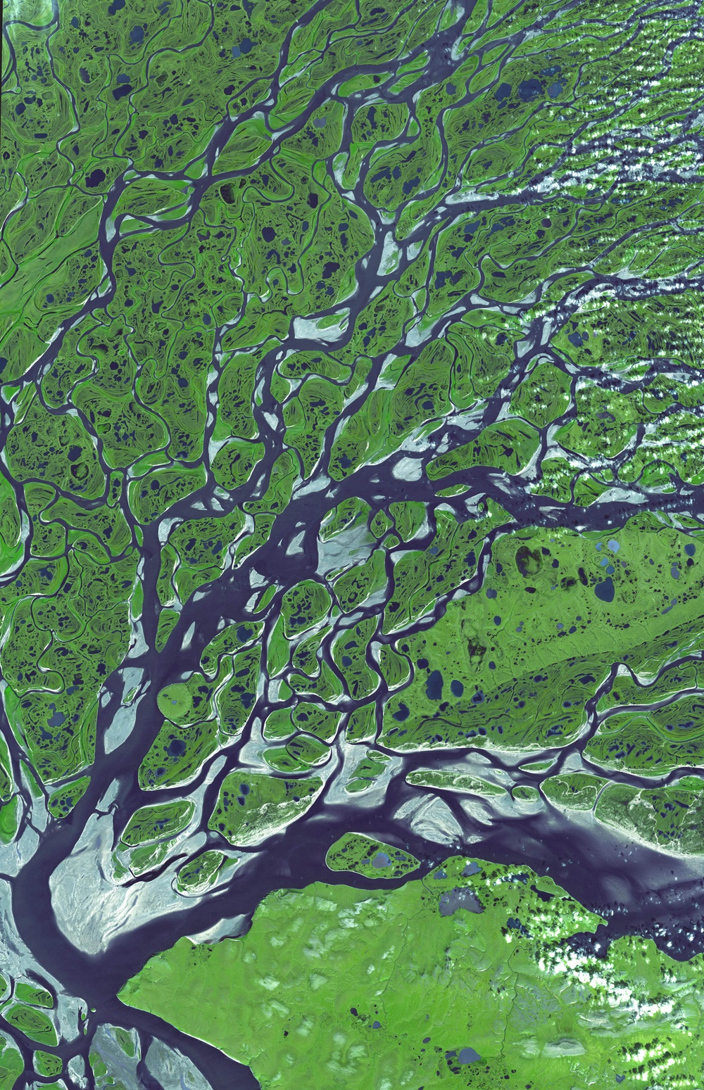 Lena River Delta, Russia: Image of the Day