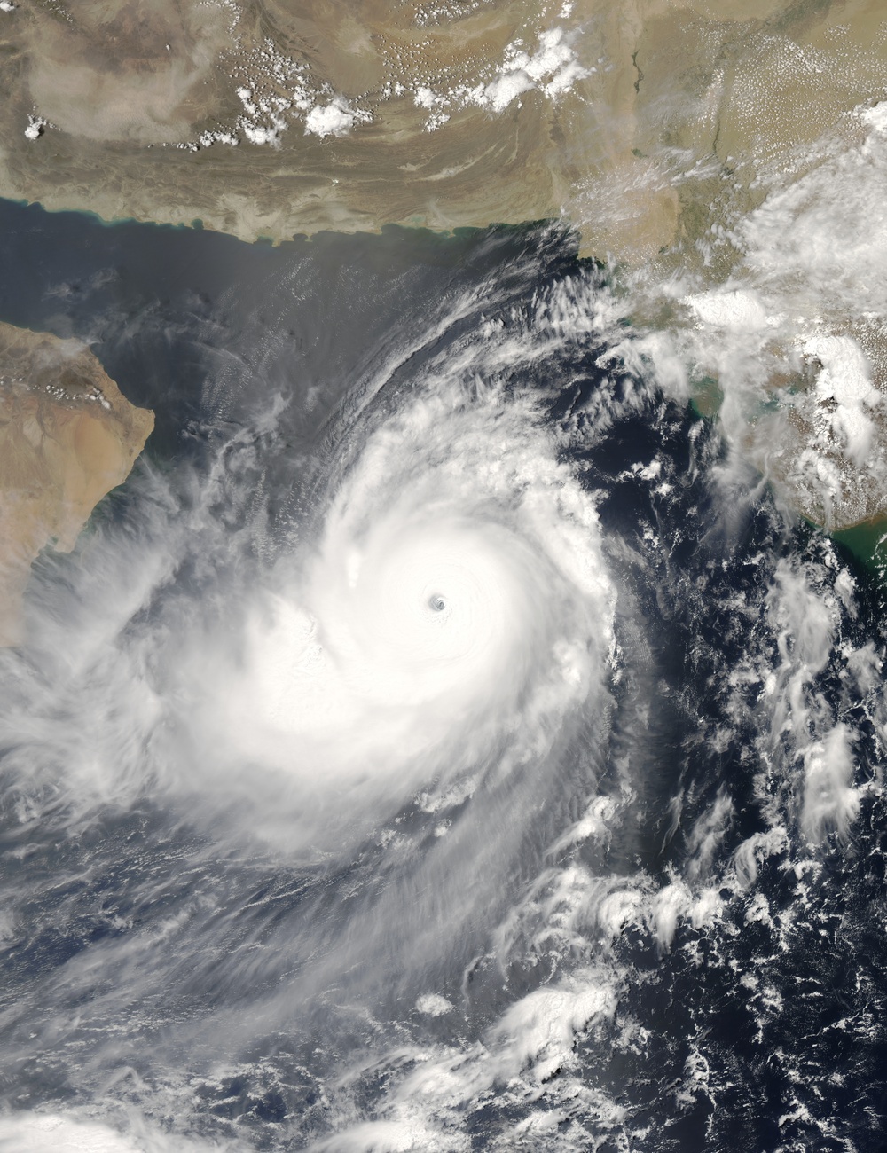 Tropical Cyclone Gonu: Image of the Day