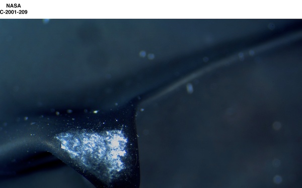 IMPASTO PAINT PALLETTE FROM THE SMITHSONIAN INSTITUTION - AO CLEANED PAINT BLACK SMITHSONIAN PALLETTE