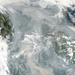 Fires Across the Central Siberian Plateau: Image of the Day