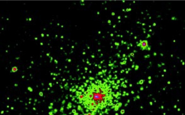 Chandra X-Ray Observatory Image NGC 3603