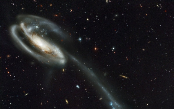 A Colliding Galaxy Dubbed the &quot;Tadpole&quot; (UGC 10214)