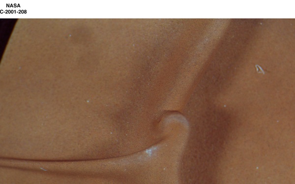 IMPASTO PAINT PALLETTE FROM THE SMITHSONIAN INSTITUTION - AO CLEANED PAINT BROWN SMITHSONIAN PALLETTE