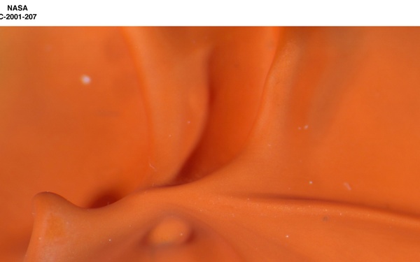 IMPASTO PAINT PALLETTE FROM THE SMITHSONIAN INSTITUTION - AO CLEANED PAINT ORANGE SMITHSONIAN PALLETTE