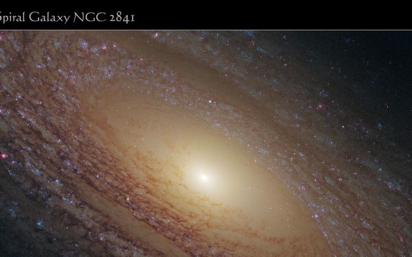 Majestic Disk of Stars