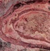 Spider Crater, Western Australia: Image of the Day