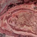 Spider Crater, Western Australia: Image of the Day