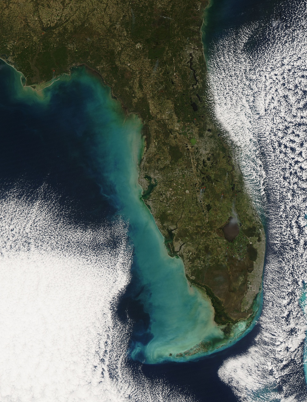 Wind Churns the Gulf of Mexico: Image of the Day