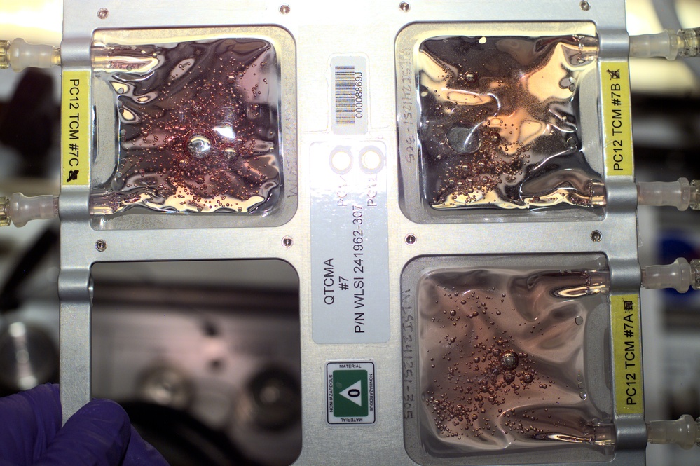 The QTCMA's for the BSTC experiment in Destiny taken during the Expedition Three mission