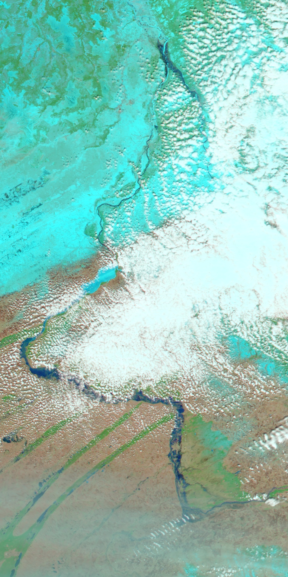 This is a false-color satellite image showing a large geographic region with river systems, vegetation, bare soil, and significant cloud cover. The false-color rendering uses infrared bands, causing vegetation to appear in bright cyan/turquoise tones and bare or arid land to appear in brown/tan tones. A prominent river or waterway winds through the scene from north to south, with cloud formations partially obscuring portions of the landscape.