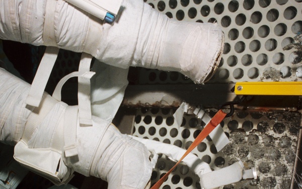 NBL Experimental Photographic Support