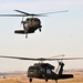 UH-60 Black Hawks land