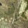 Great Dyke, Zimbabwe: Image of the Day