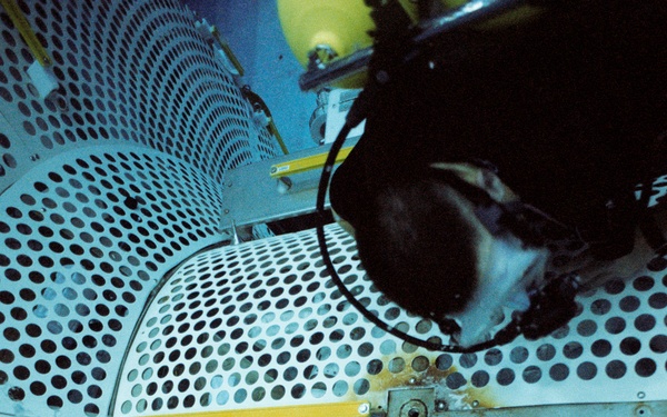 NBL Experimental Photographic Support