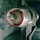 VARIABLE DIAMETER CENTERBODY INLET MODEL IN 10X10 SMALL WIND TUNNEL