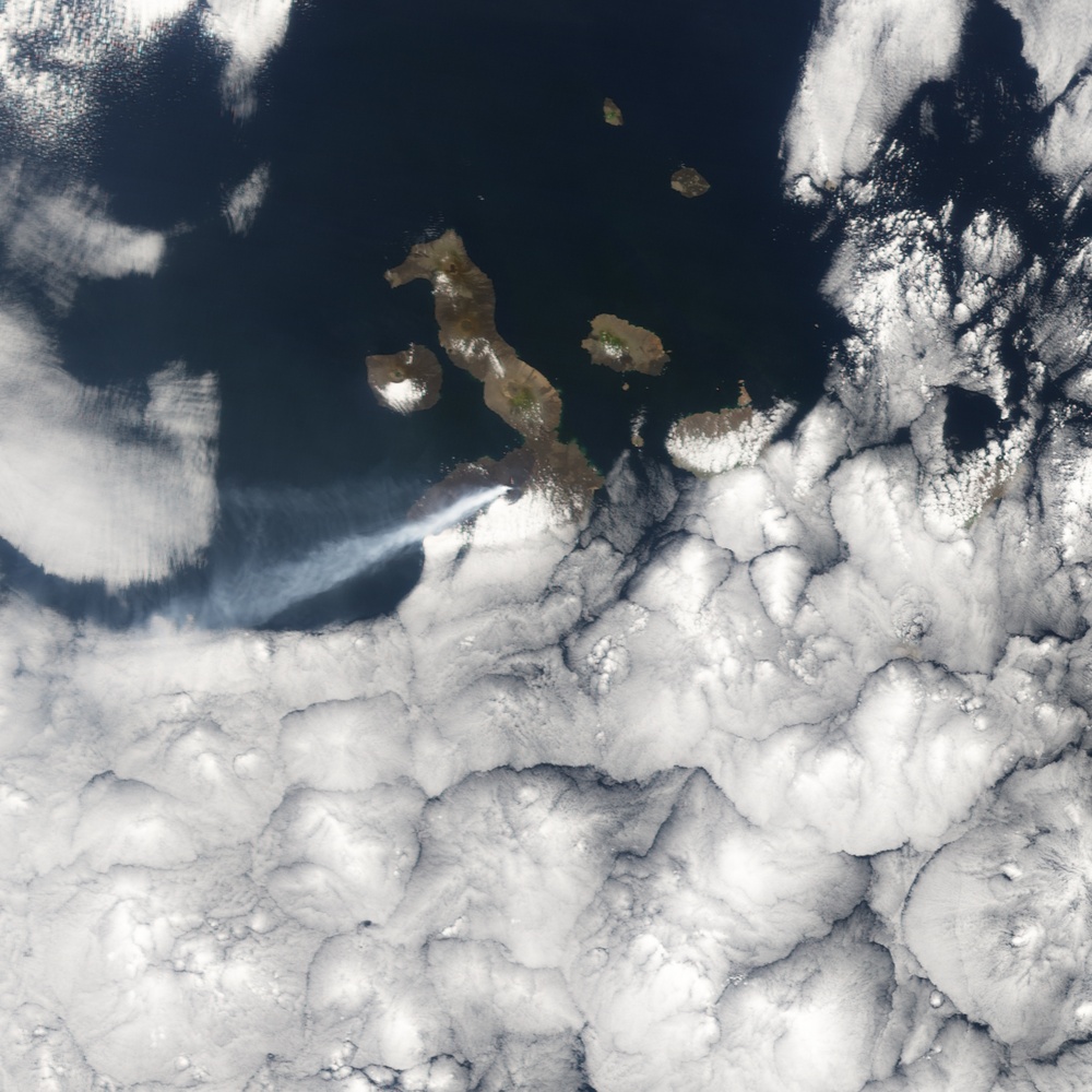 Sierra Negra Volcano: Image of the Day