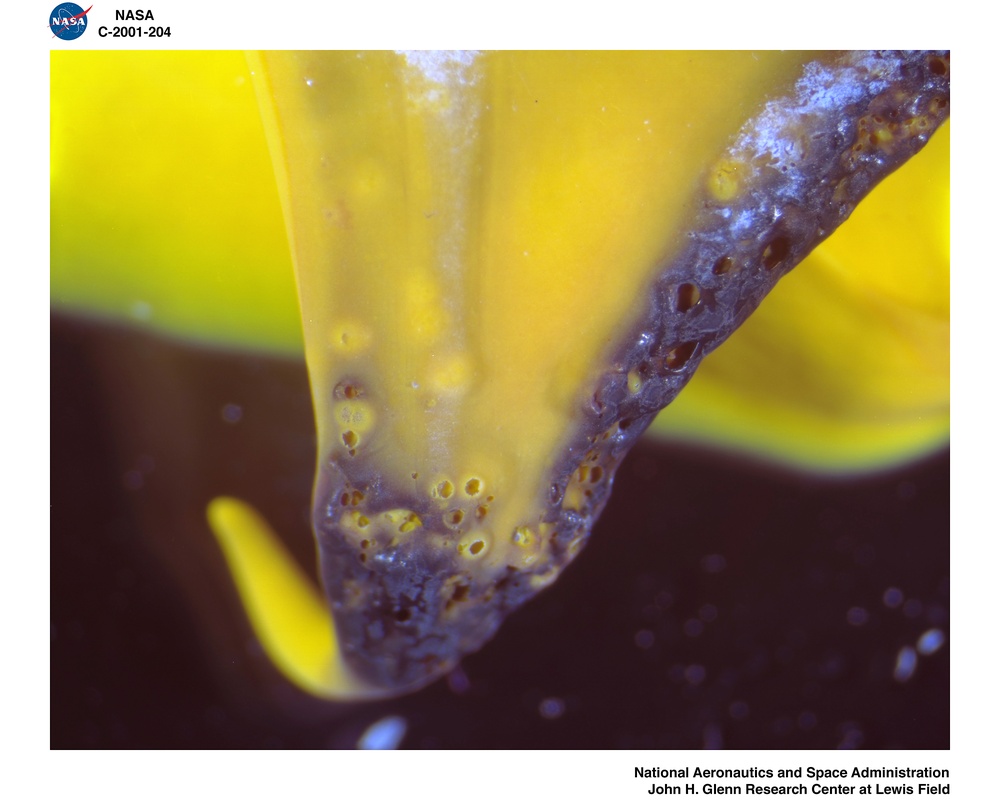 IMPASTO PAINT PALLETTE FROM THE SMITHSONIAN INSTITUTION - AO CLEANED PAINT YELLOW A SMITHSONIAN PALLETTE