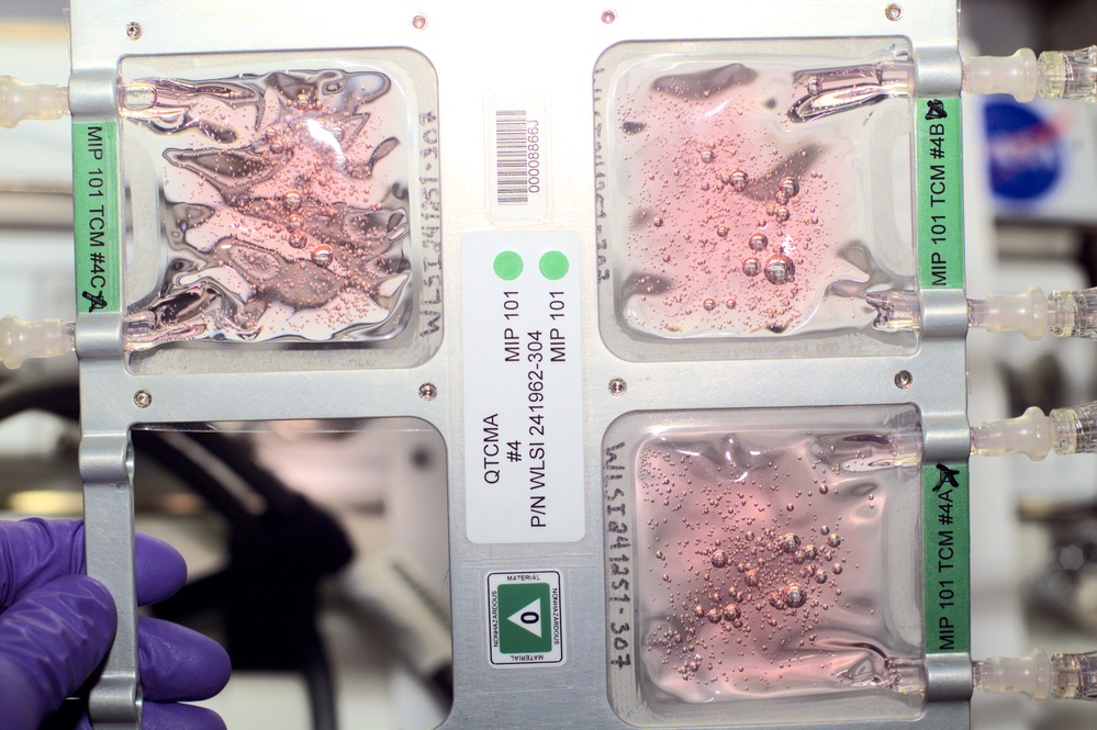 The QTCMA's for the BSTC experiment in Destiny taken during the Expedition Three mission