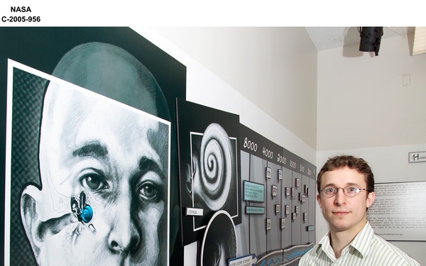 Display graphic depicting the effects of "Noise Induced Hearing Loss" (NIHL), created as part of a Cleveland Institute of Art, Bachelor of Fine Arts thesis project in cooperation with the NASA Glenn Research Center Acoustical Testing Laboratory
