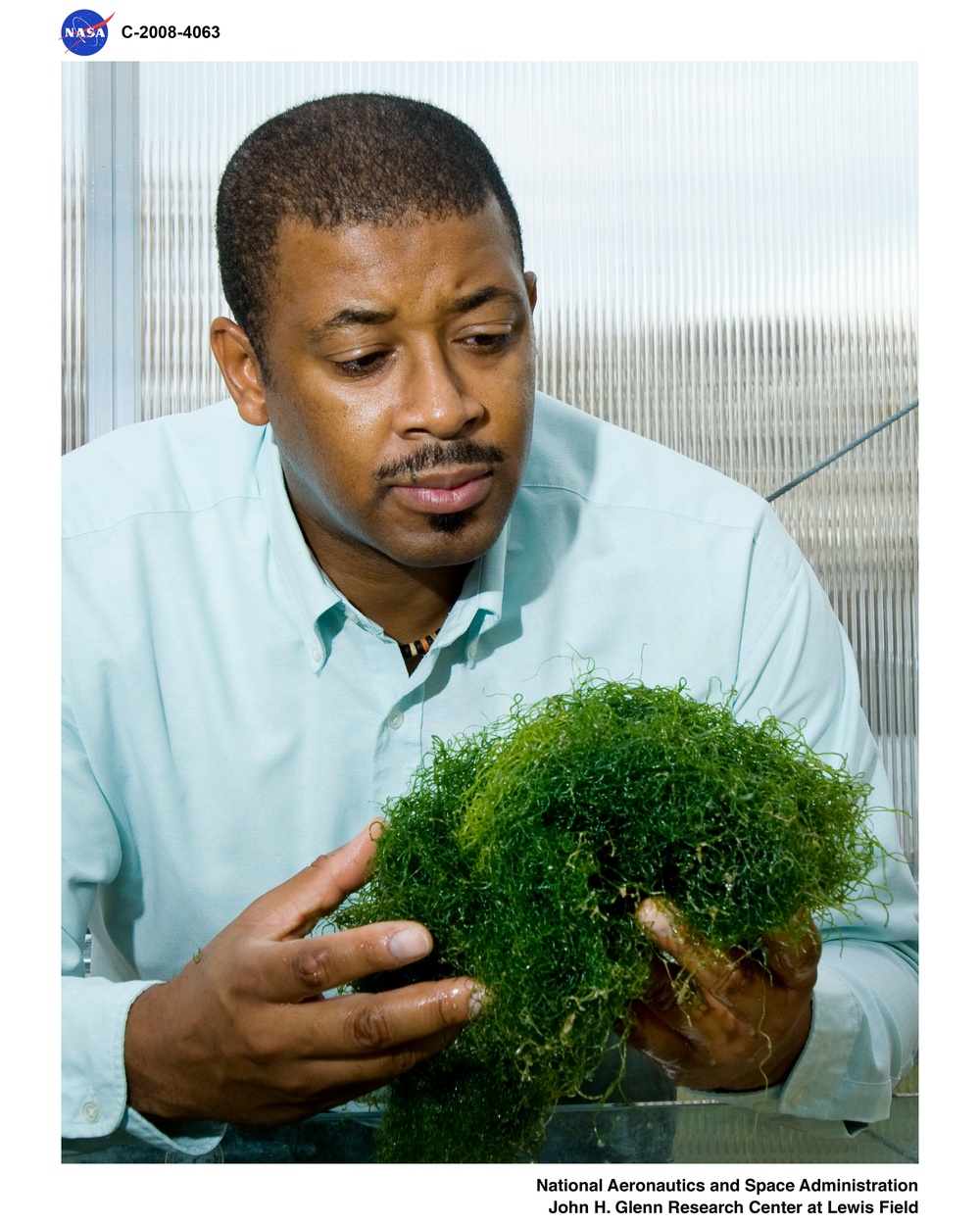 Salt tolerant plants studied as source of alternative aviation fuel in the Green Lab Research Facility - Chaetomorpha Algae