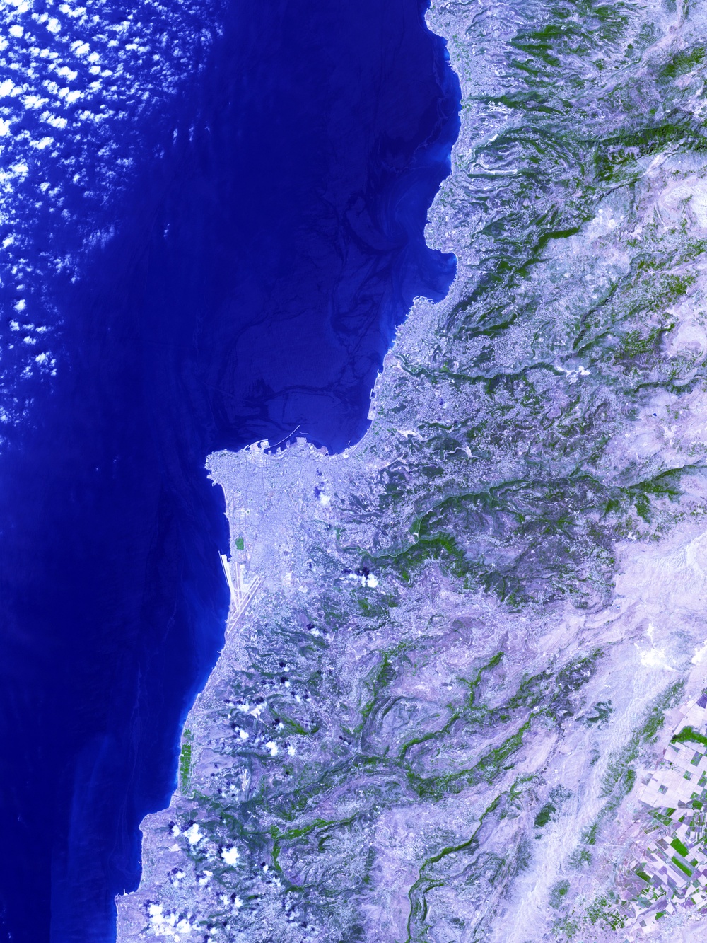 Oil Spill Along the Lebanese Coast: Image of the Day