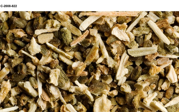 Salicomia seeds for Biofuels project