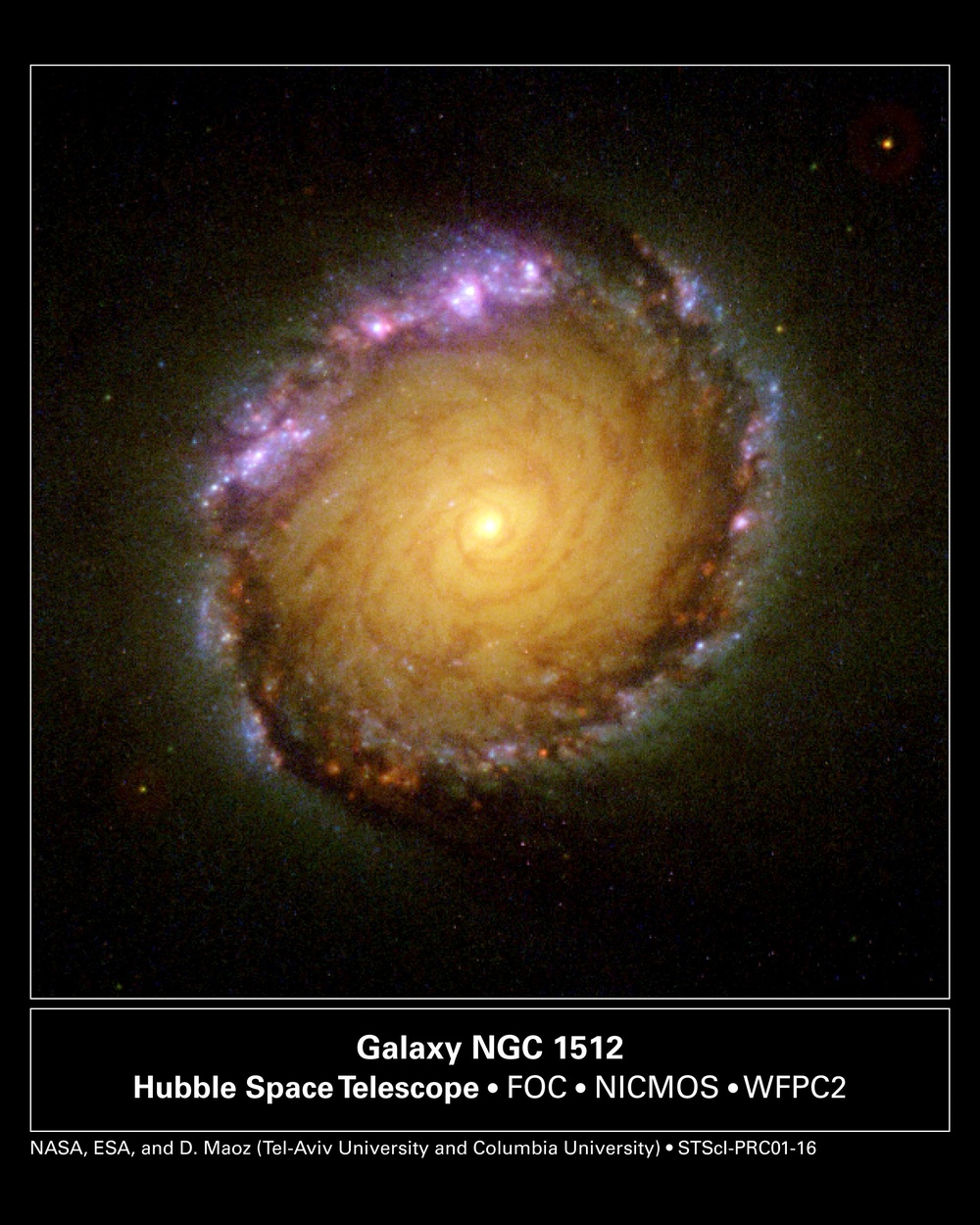 HST image of Spiral Galaxy NGC 1512