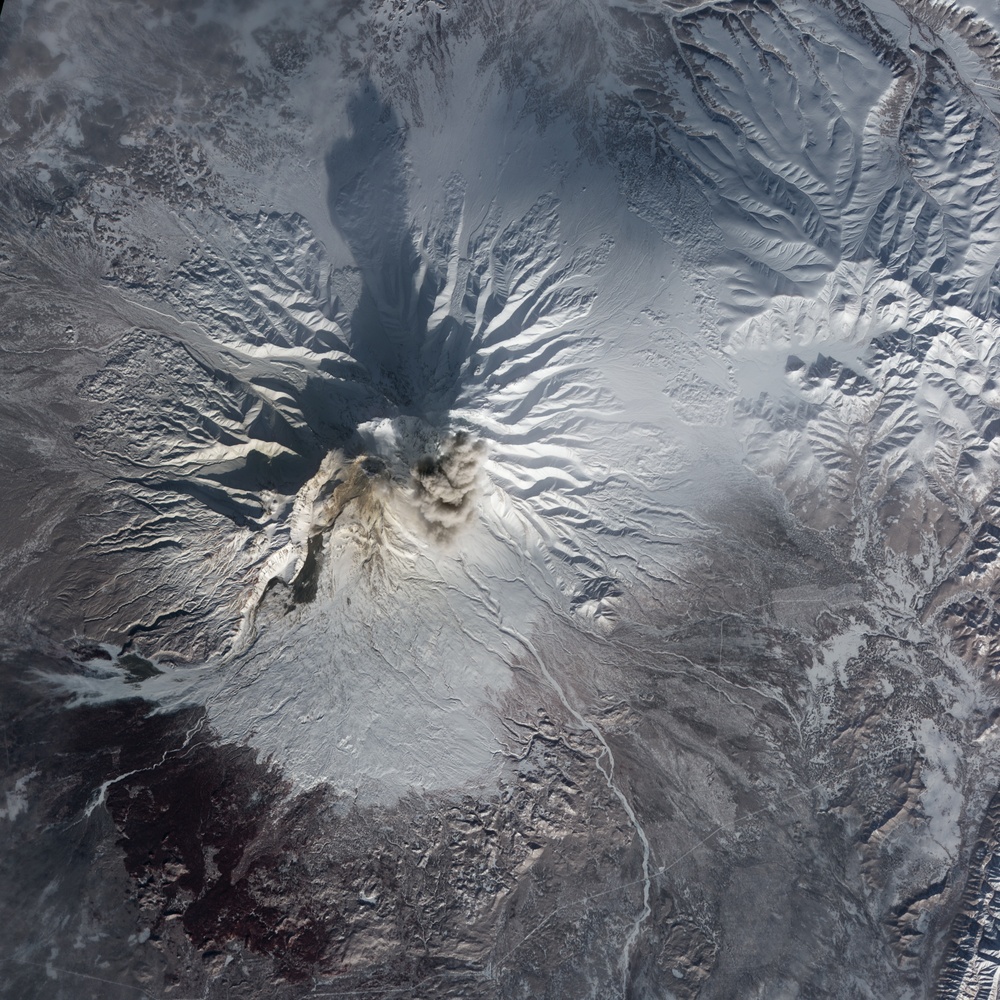 Column of Ash Rises Over Shiveluch Volcano: Image of the Day