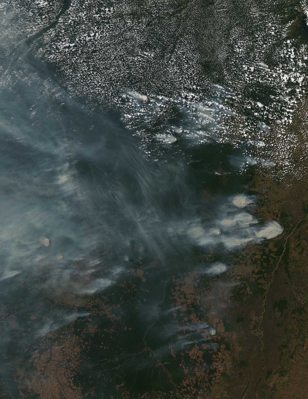 Smoke Chokes Clouds : Image of the Day