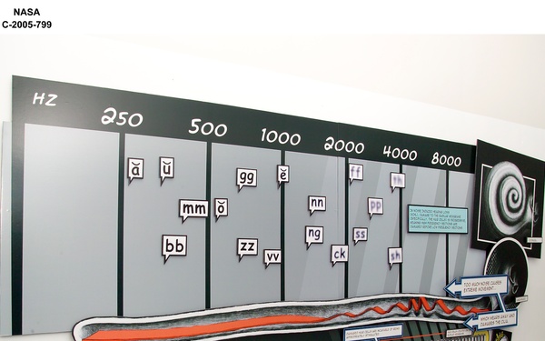 Display graphic depicting the effects of "Noise Induced Hearing Loss" (NIHL), created as part of a Cleveland Institute of Art, Bachelor of Fine Arts thesis project in cooperation with the NASA Glenn Research Center Acoustical Testing Laboratory