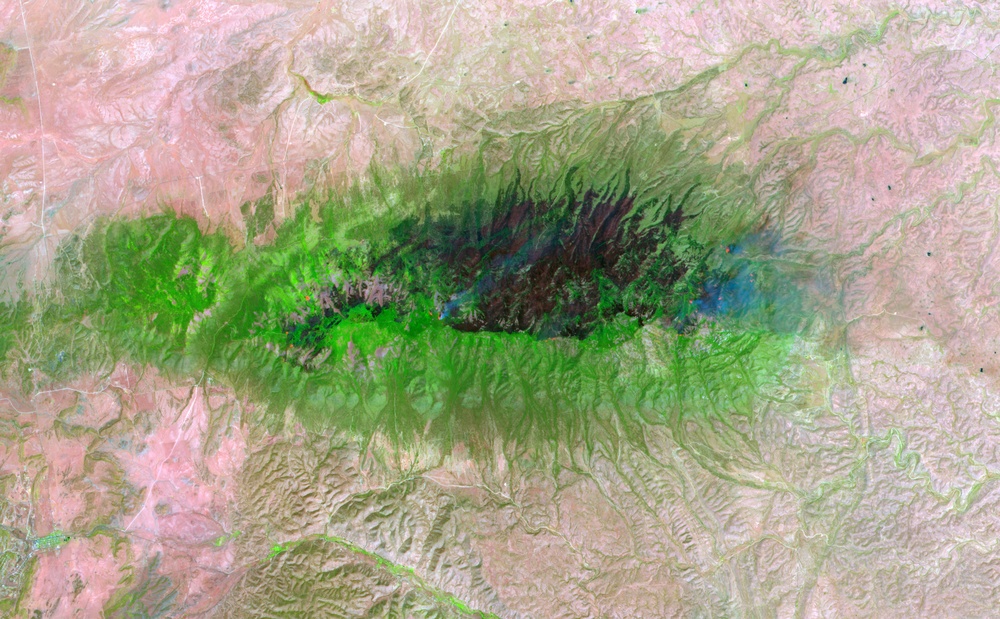 Peppin Fire Burn Scar: Image of the Day