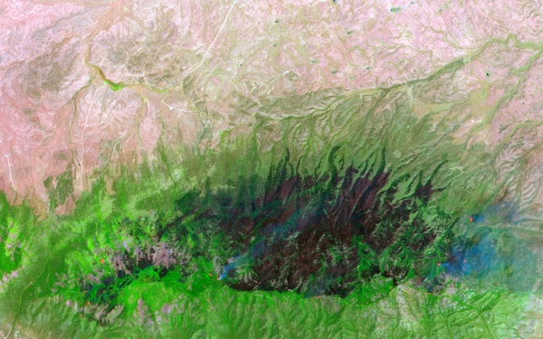 Peppin Fire Burn Scar: Image of the Day