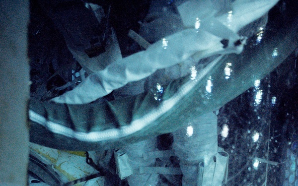 NBL Experimental Photographic Support