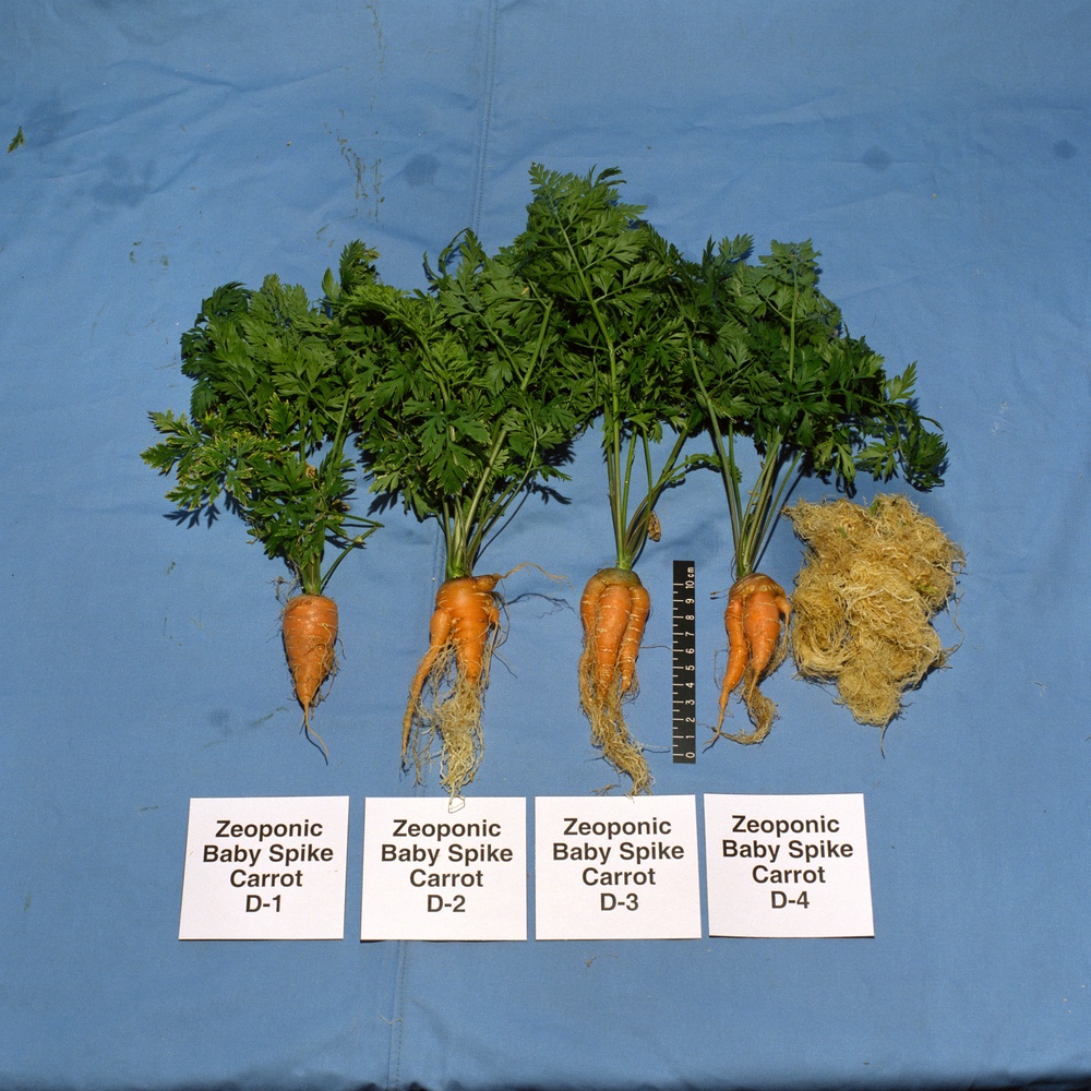Zeoponic salad crop plant growth experiment in the Reach-In Growth Chamber, Building 7B