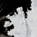 Wilkins Ice Shelf Disintegrates: Image of the Day