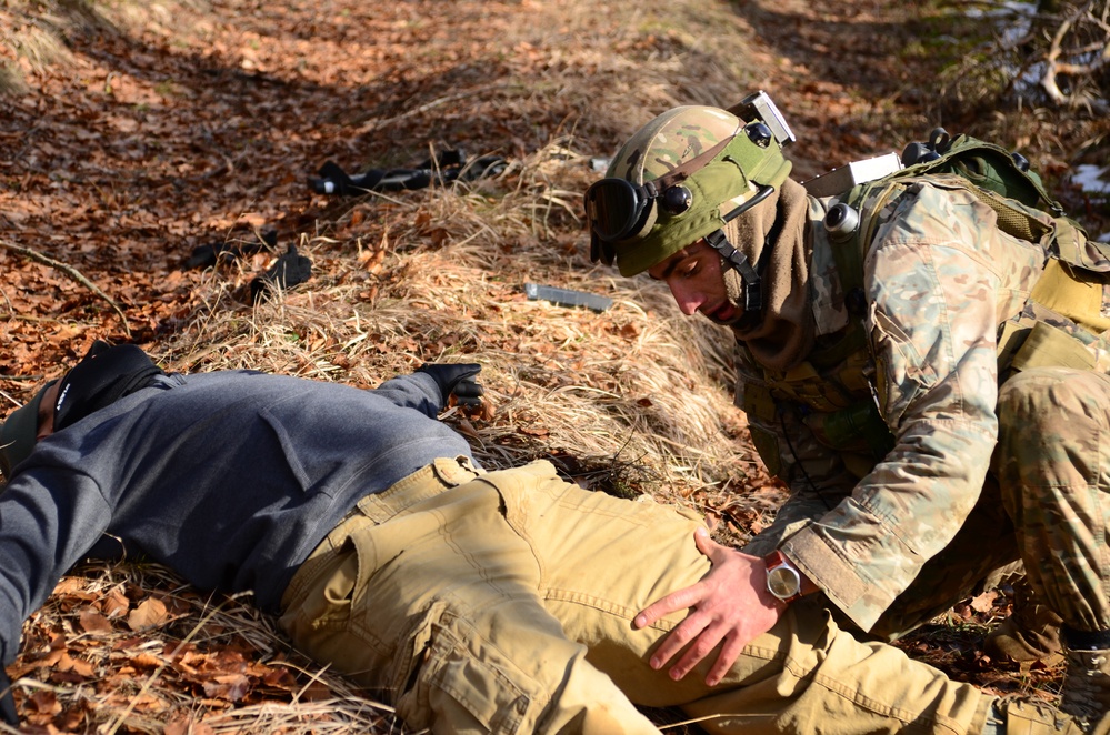 Georgian Regimental Combat Team Mission Rehearsal Exercise